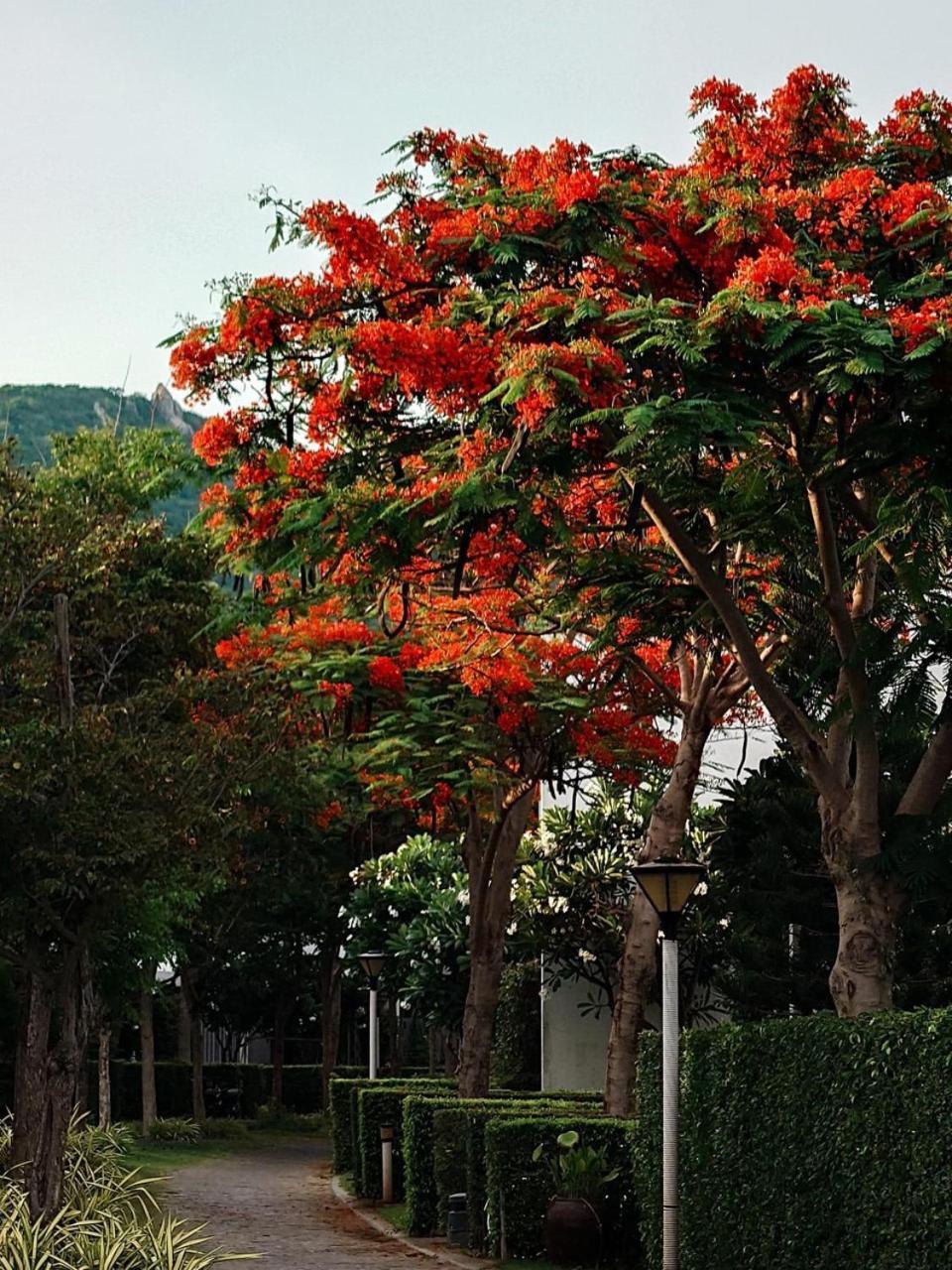 Oceanami Resort & Beach Club Long Hai Luaran gambar